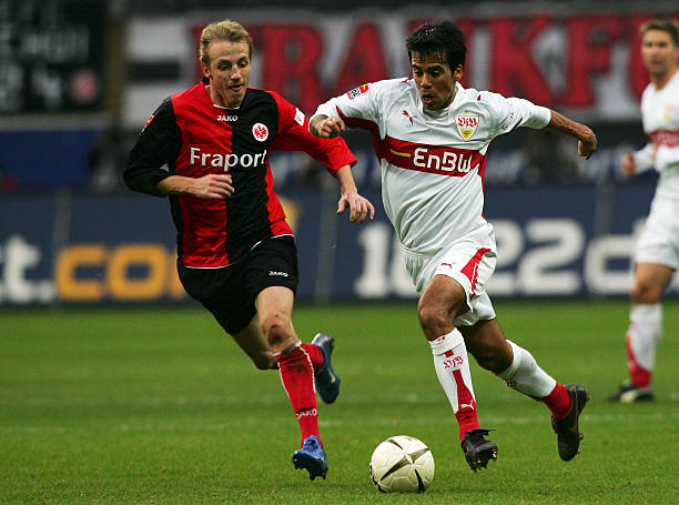 导致集体状 导致集体状